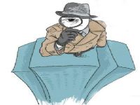 金塔县取证公司解说第三者承担离婚赔偿责任吗